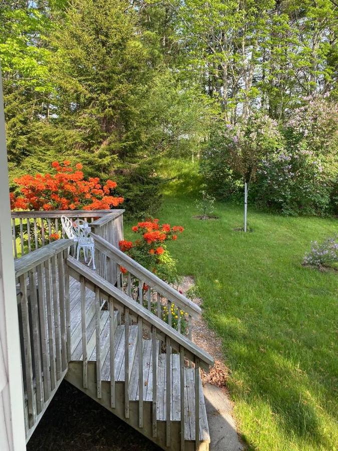 Sea La Vie Apartment Mahone Bay Bagian luar foto