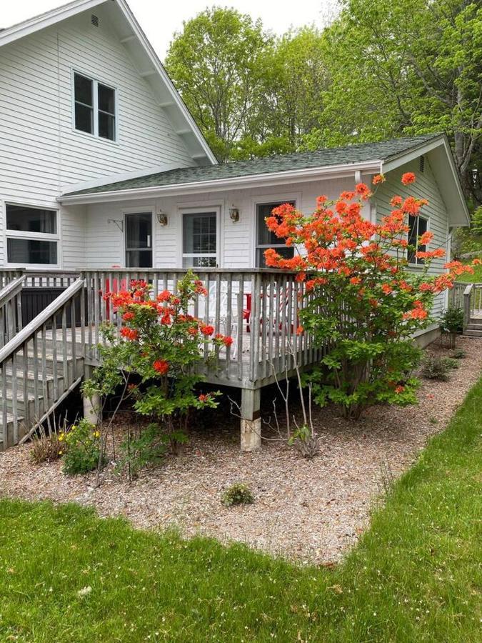 Sea La Vie Apartment Mahone Bay Bagian luar foto