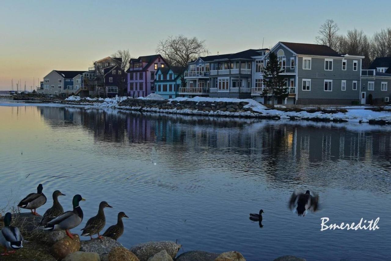 Sea La Vie Apartment Mahone Bay Bagian luar foto