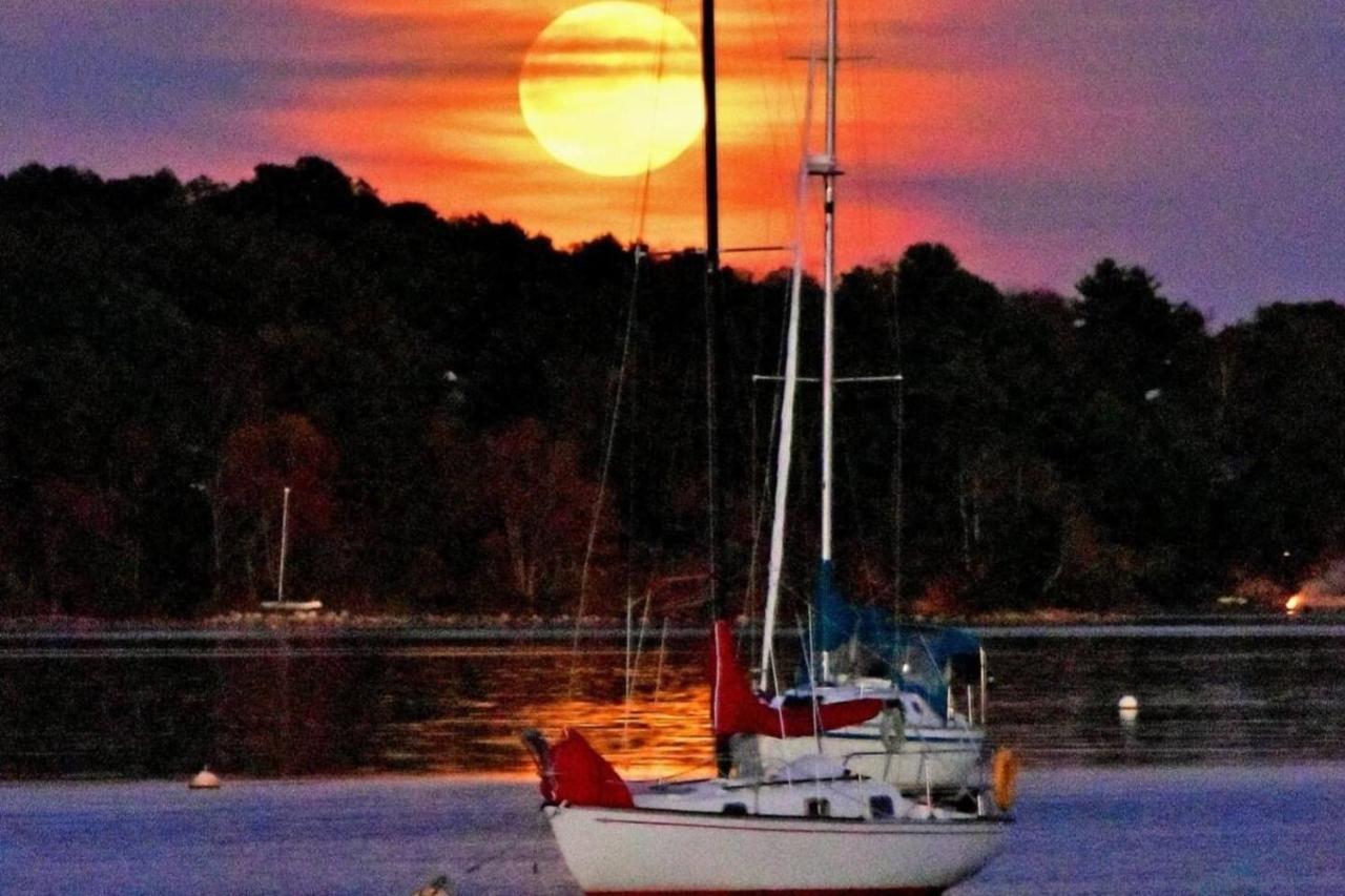 Sea La Vie Apartment Mahone Bay Bagian luar foto