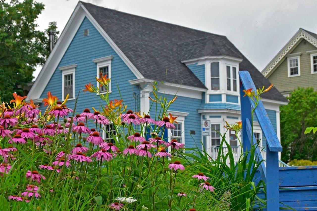 Sea La Vie Apartment Mahone Bay Bagian luar foto